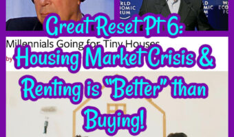 Great Reset Pt 6: Housing Market Crisis & Renting is “Better” than Buying!